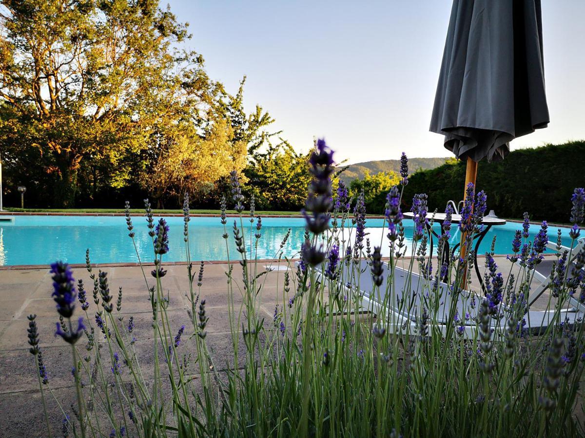 Agriturismo Grecinella Casole d'Elsa Exterior photo