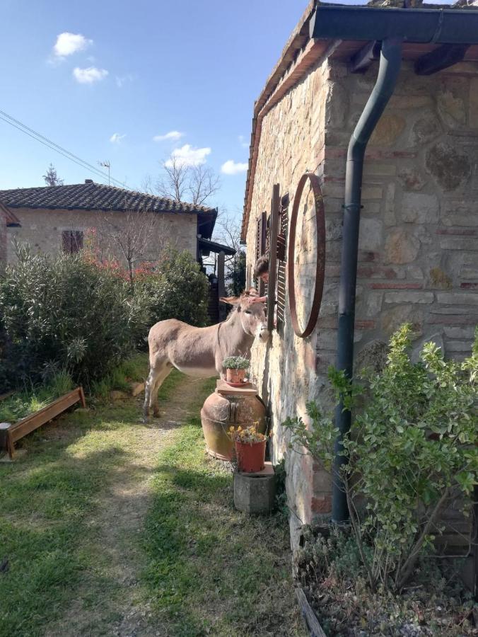 Agriturismo Grecinella Casole d'Elsa Exterior photo